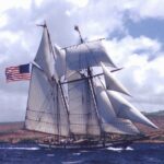 Schooner Lynx