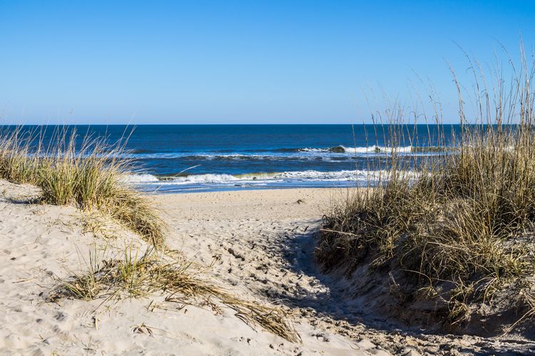 chesapeake bay spring